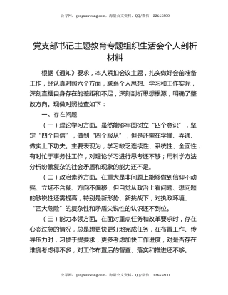 党支部书记主题教育专题组织生活会个人剖析材料
