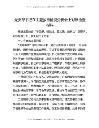 党支部书记在主题教育检视分析会上对照检查材料