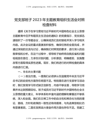 党支部班子2023年主题教育组织生活会对照检查材料