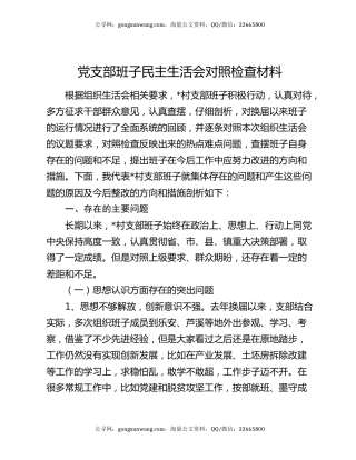党支部班子民主生活会对照检查材料