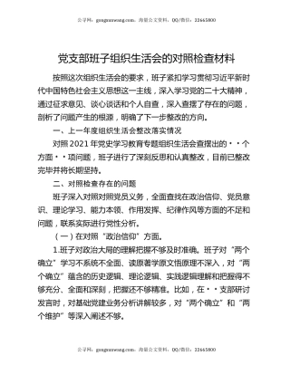党支部班子组织生活会的对照检查材料