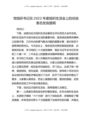 党组织书记在2022年度组织生活会上的总结表态发言提纲