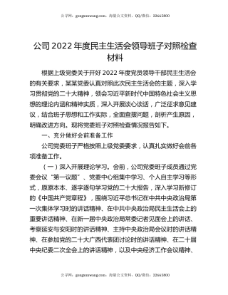 公司2022年度民主生活会领导班子对照检查材料