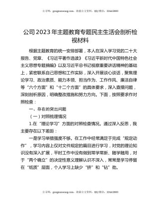 公司2023年主题教育专题民主生活会剖析检视材料