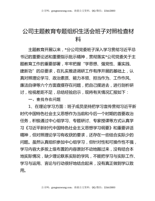 公司主题教育专题组织生活会班子对照检查材料