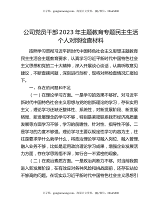 公司党员干部2023年主题教育专题民主生活个人对照检查材料