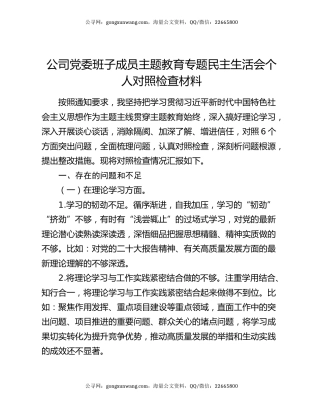 公司党委班子成员主题教育专题民主生活会个人对照检查材料