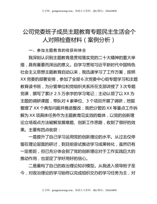 公司党委班子成员主题教育专题民主生活会个人对照检查材料（案例分析）