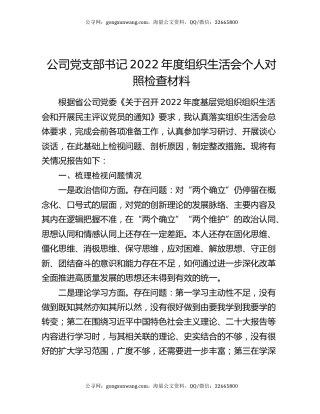 公司党支部书记2022年度组织生活会个人对照检查材料