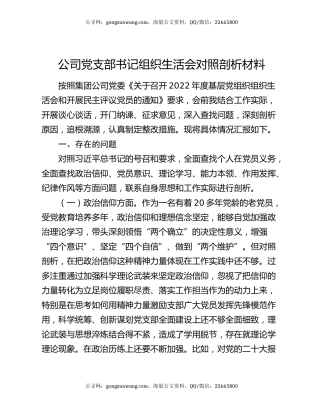 公司党支部书记组织生活会对照剖析材料