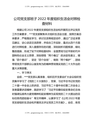公司党支部班子2022年度组织生活会对照检查材料