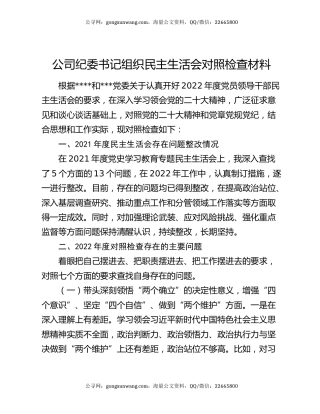公司纪委书记组织民主生活会对照检查材料
