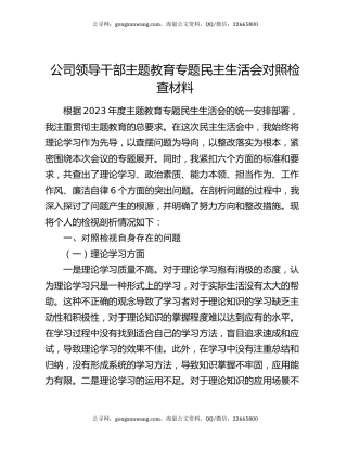 公司领导干部主题教育专题民主生活会对照检查材料