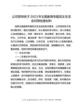 公司领导班子2023年主题教育专题民主生活会对照检查材料