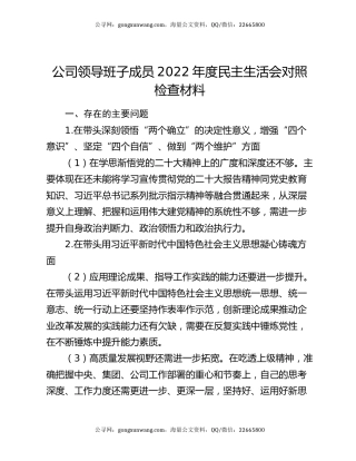 公司领导班子成员2022年度民主生活会对照检查材料