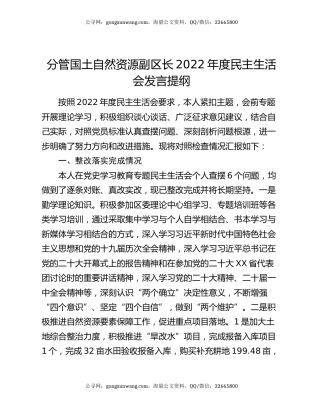 分管国土自然资源副区长2022年度民主生活会发言提纲