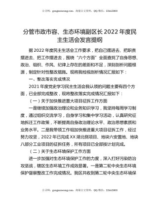 分管市政市容、生态环境副区长2022年度民主生活会发言提纲