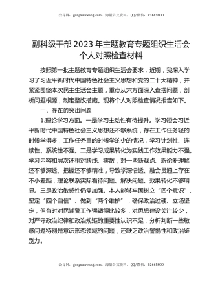 副科级干部2023年主题教育专题组织生活会个人对照检查材料