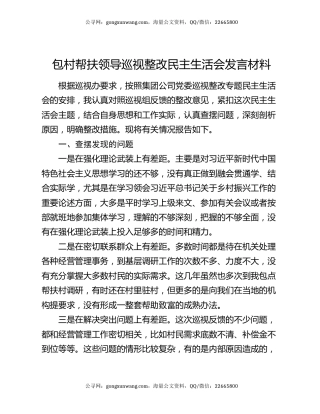 包村帮扶领导巡视整改民主生活会发言材料