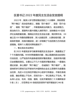 区委书记2022年度民主生活会发言提纲