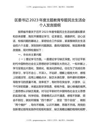 区委书记2023年度主题教育专题民主生活会个人发言提纲