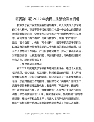 区委副书记2022年度民主生活会发言提纲