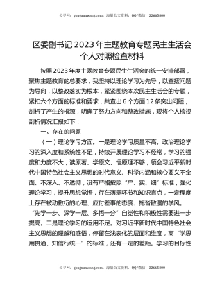 区委副书记2023年主题教育专题民主生活会个人对照检查材料