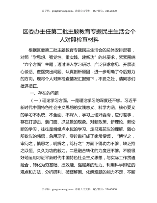 区委办主任第二批主题教育专题民主生活会个人对照检查材料