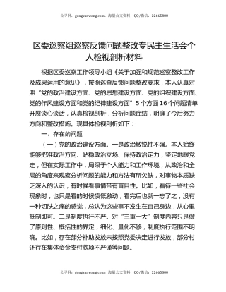 区委巡察组巡察反馈问题整改专民主生活会个人检视剖析材料