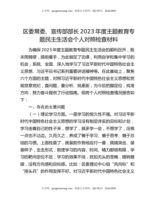 区委常委、宣传部部长2023年度主题教育专题民主生活会个人对照检查材料