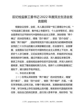 区纪检监察工委书记2022年度民主生活会发言提纲