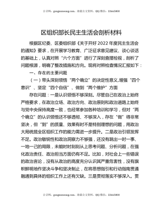 区组织部长民主生活会剖析材料