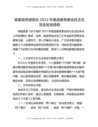 县委宣传部部长2022年度县委常委会民主生活会发言提纲