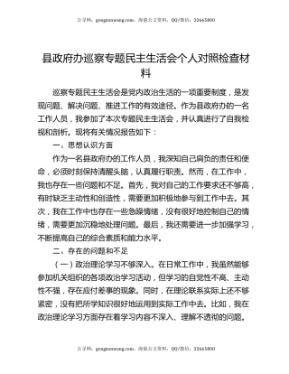 县政府办巡察专题民主生活会个人对照检查材料
