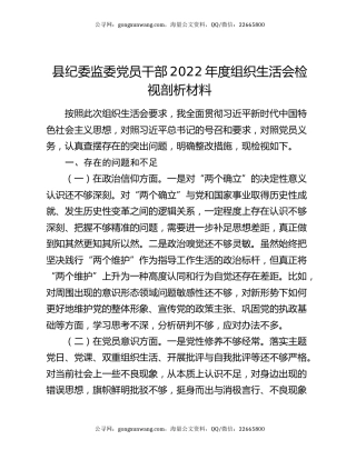 县纪委监委党员干部2022年度组织生活会检视剖析材料