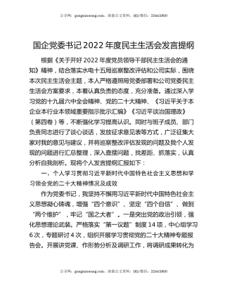 国企党委书记2022年度民主生活会发言提纲