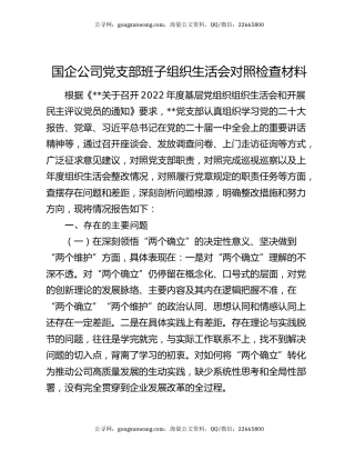国企公司党支部班子组织生活会对照检查材料