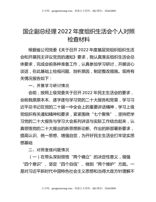 国企副总经理2022年度组织生活会个人对照检查材料