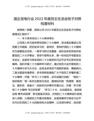 国企发电行业2022年度民主生活会班子对照检查材料