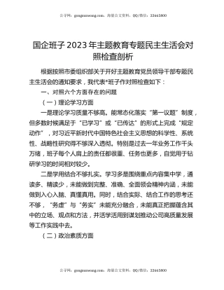 国企班子2023年主题教育专题民主生活会对照检查剖析