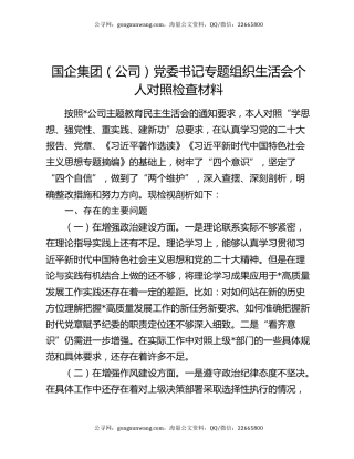国企集团（公司）党委书记专题组织生活会个人对照检查材料
