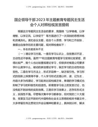 国企领导干部2023年主题教育专题民主生活会个人对照检视发言提纲