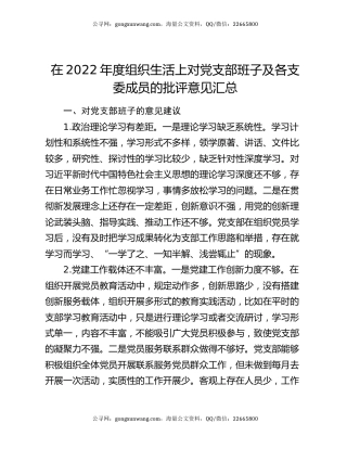 在2022年度组织生活上对党支部班子及各支委成员的批评意见汇总