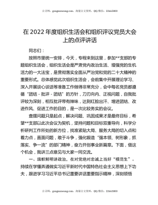 在2022年度组织生活会和组织评议党员大会上的点评讲话