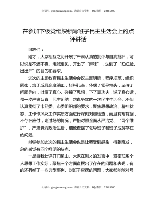 在参加下级党组织领导班子民主生活会上的点评讲话