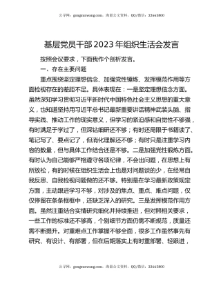 基层党员干部2023年组织生活会发言