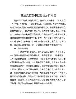 基层党支部书记党性分析报告