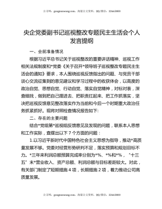 央企党委副书记巡视整改专题民主生活会个人发言提纲