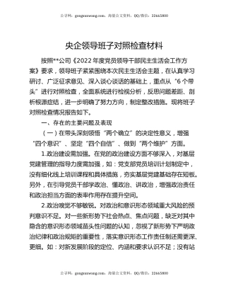 央企领导班子对照检查材料