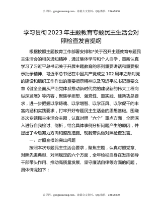 学习贯彻2023年主题教育专题民主生活会对照检查发言提纲